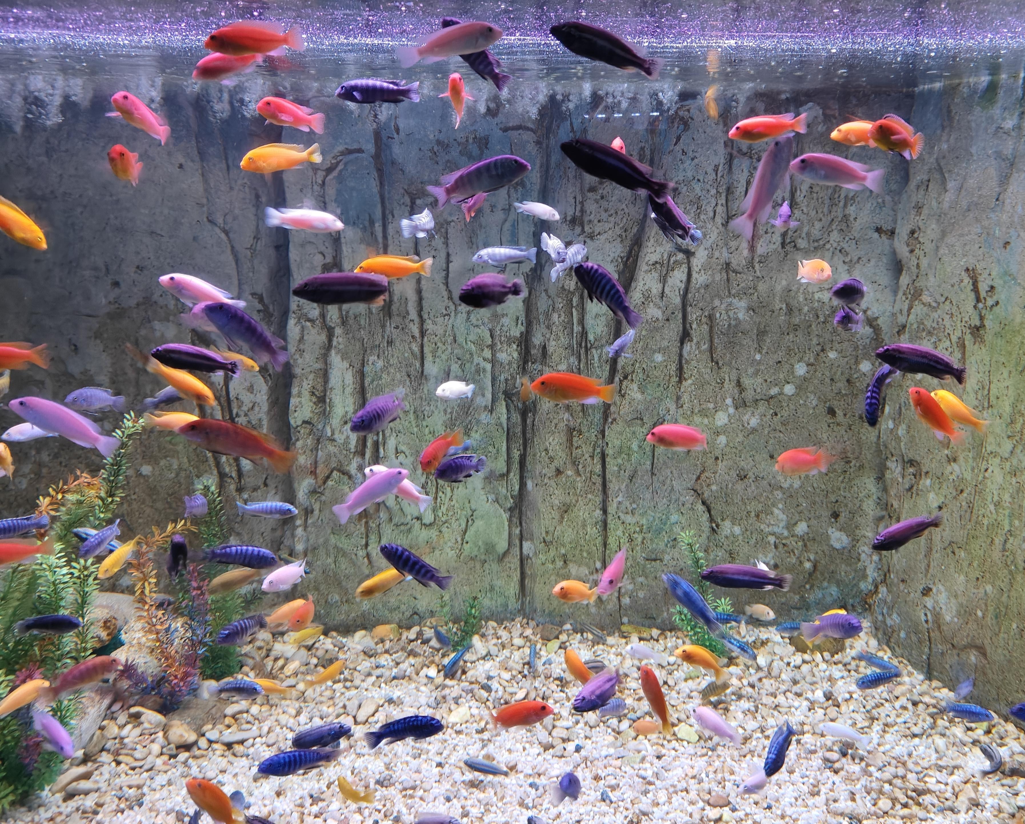 蓬莱海洋极地世界