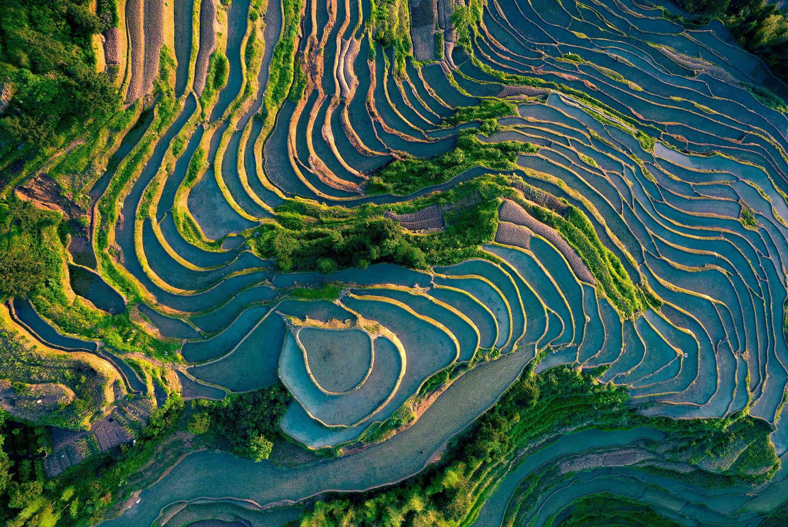 紫鹊界梯田