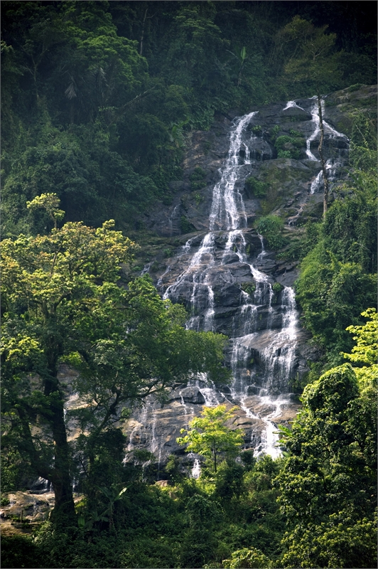 百花岭