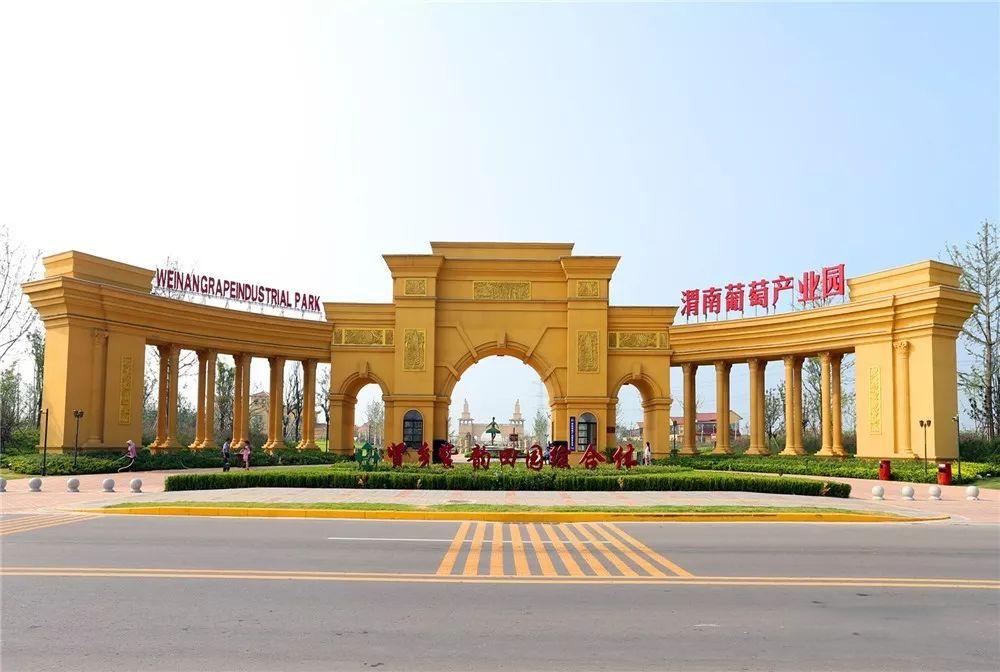 渭南葡萄产业园
