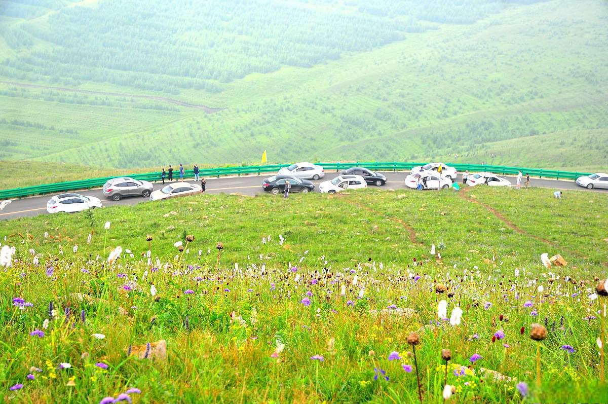 放马坪高原草场
