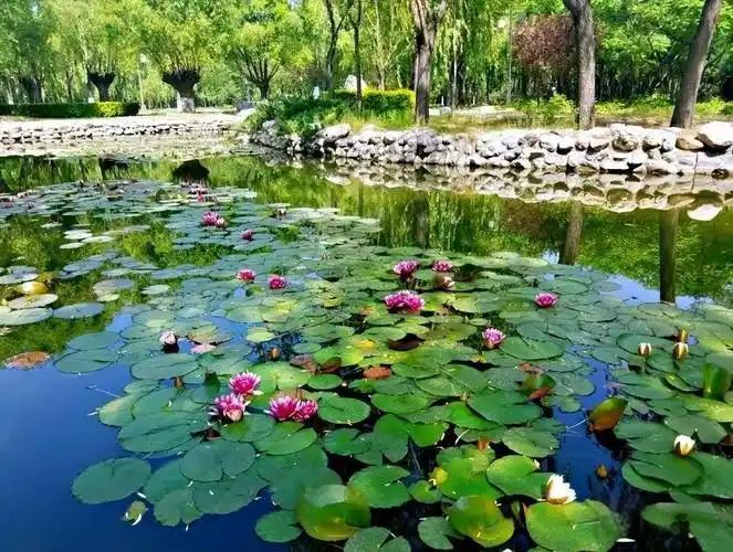 胜溪湖