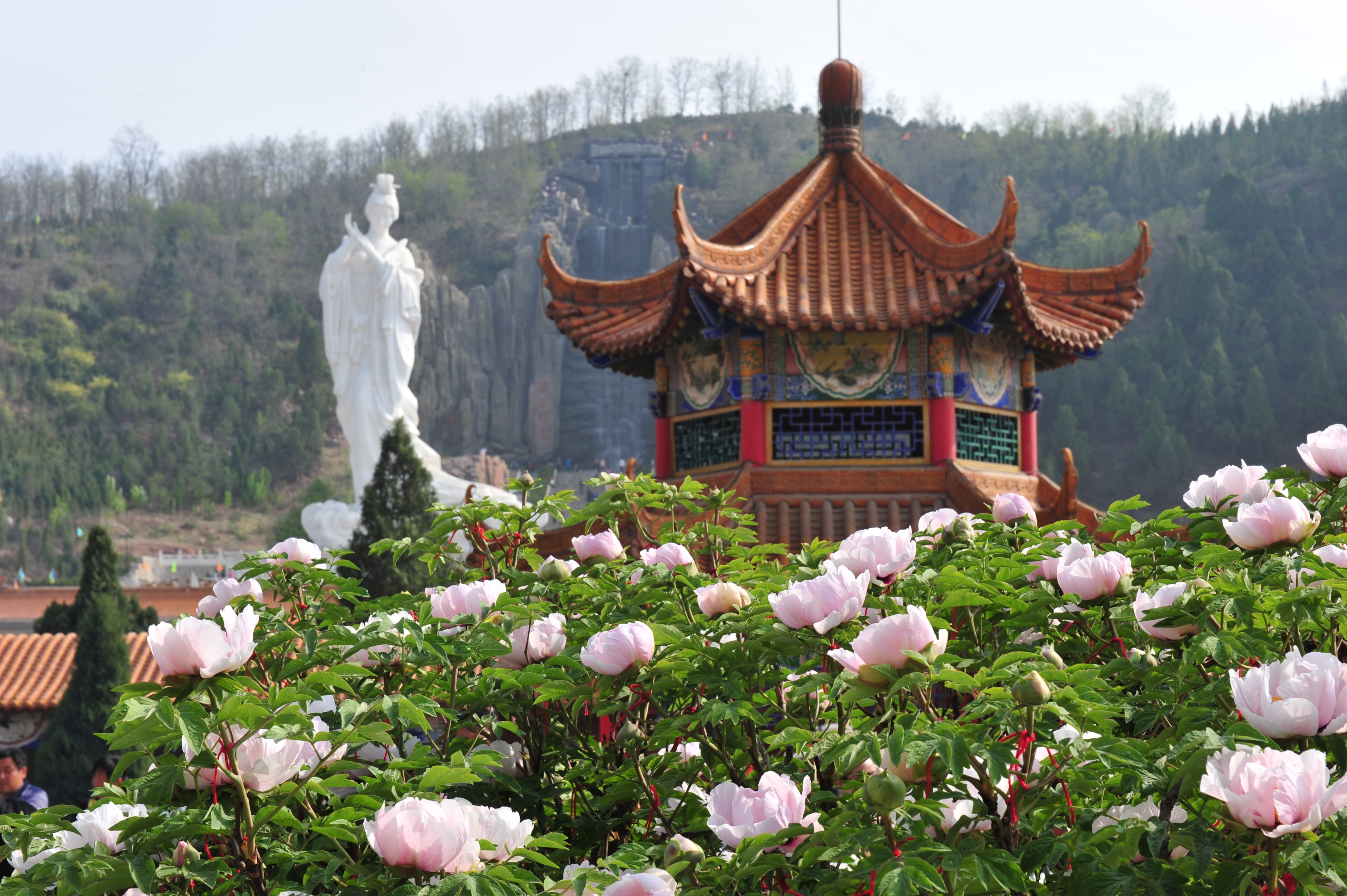 牡丹文化旅游区