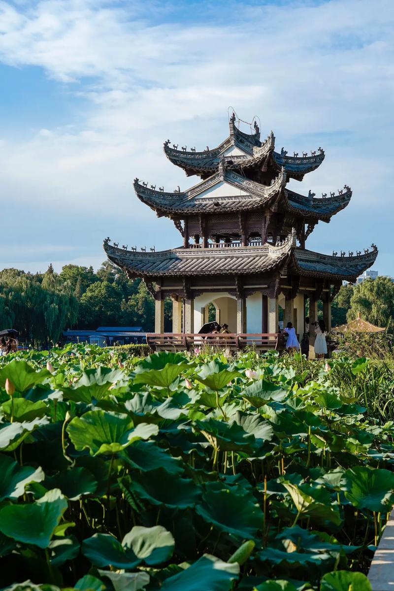 陶然亭公园