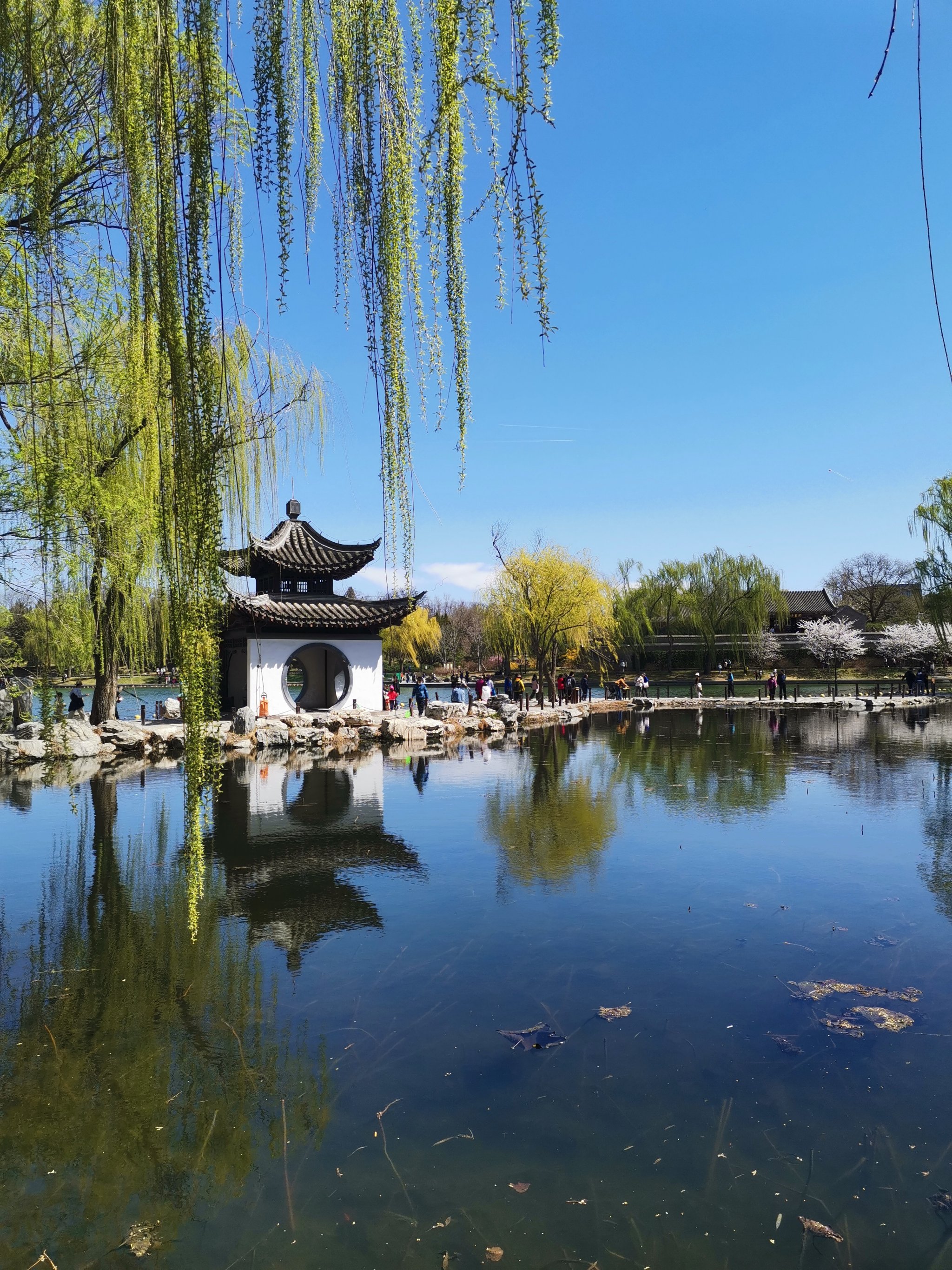 陶然亭公园