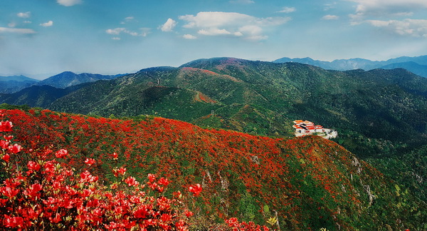 阳明山