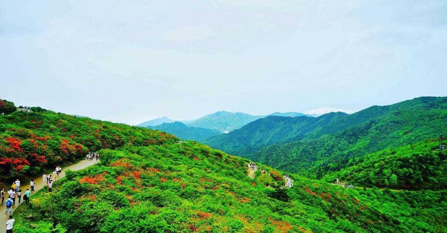 阳明山