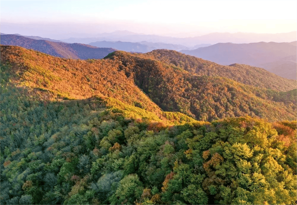 城子山