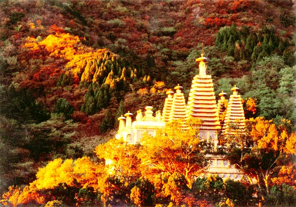 香山公园