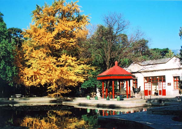 香山公园