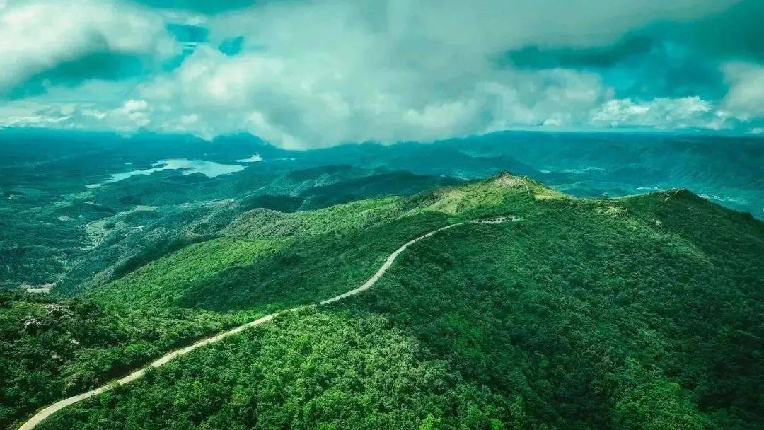 绿林山