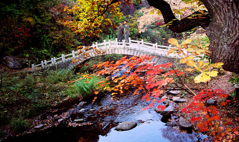 三块石森林公园