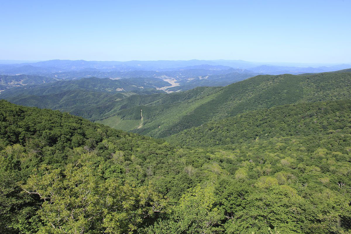 三块石森林公园