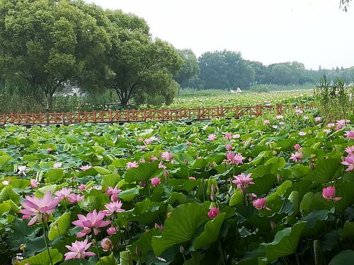 蓝田生态旅游风景区