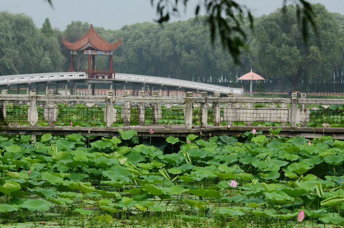 蓝田生态旅游风景区
