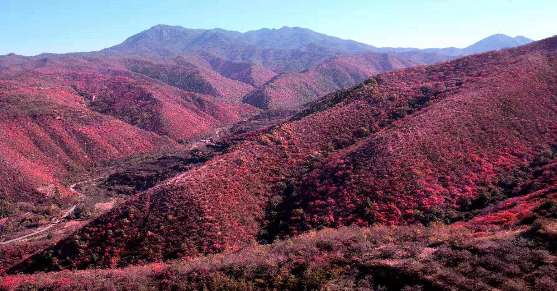 甘山森林公园