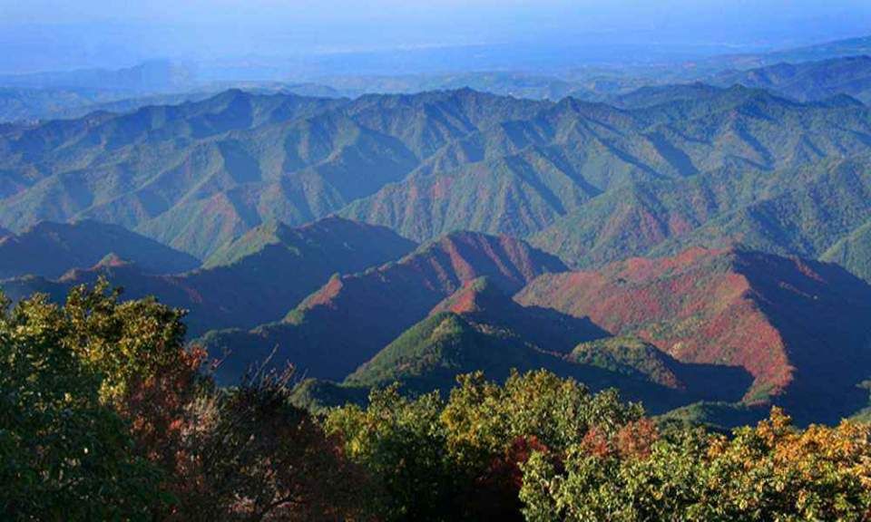 甘山森林公园