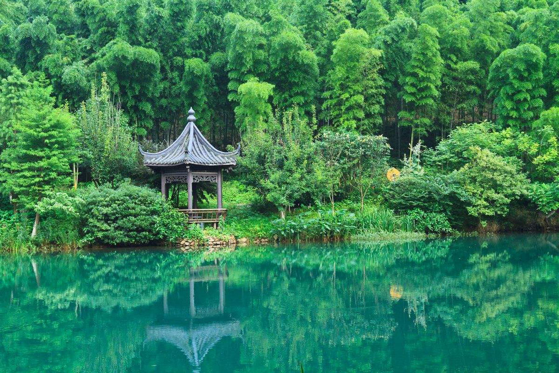 天目湖南山竹海